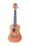 Concert Ukulele