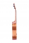 Concert Ukulele