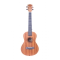Ukulele