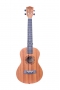 Tenor Ukulele