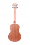 Tenor Ukulele