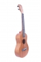 Tenor Ukulele