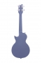 Renkli Ukulele Seti